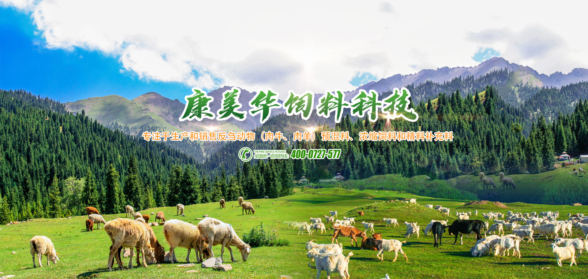  濰坊興盛膜結(jié)構(gòu)工程有限公司